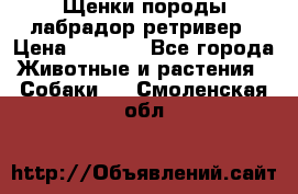 Щенки породы лабрадор ретривер › Цена ­ 8 000 - Все города Животные и растения » Собаки   . Смоленская обл.